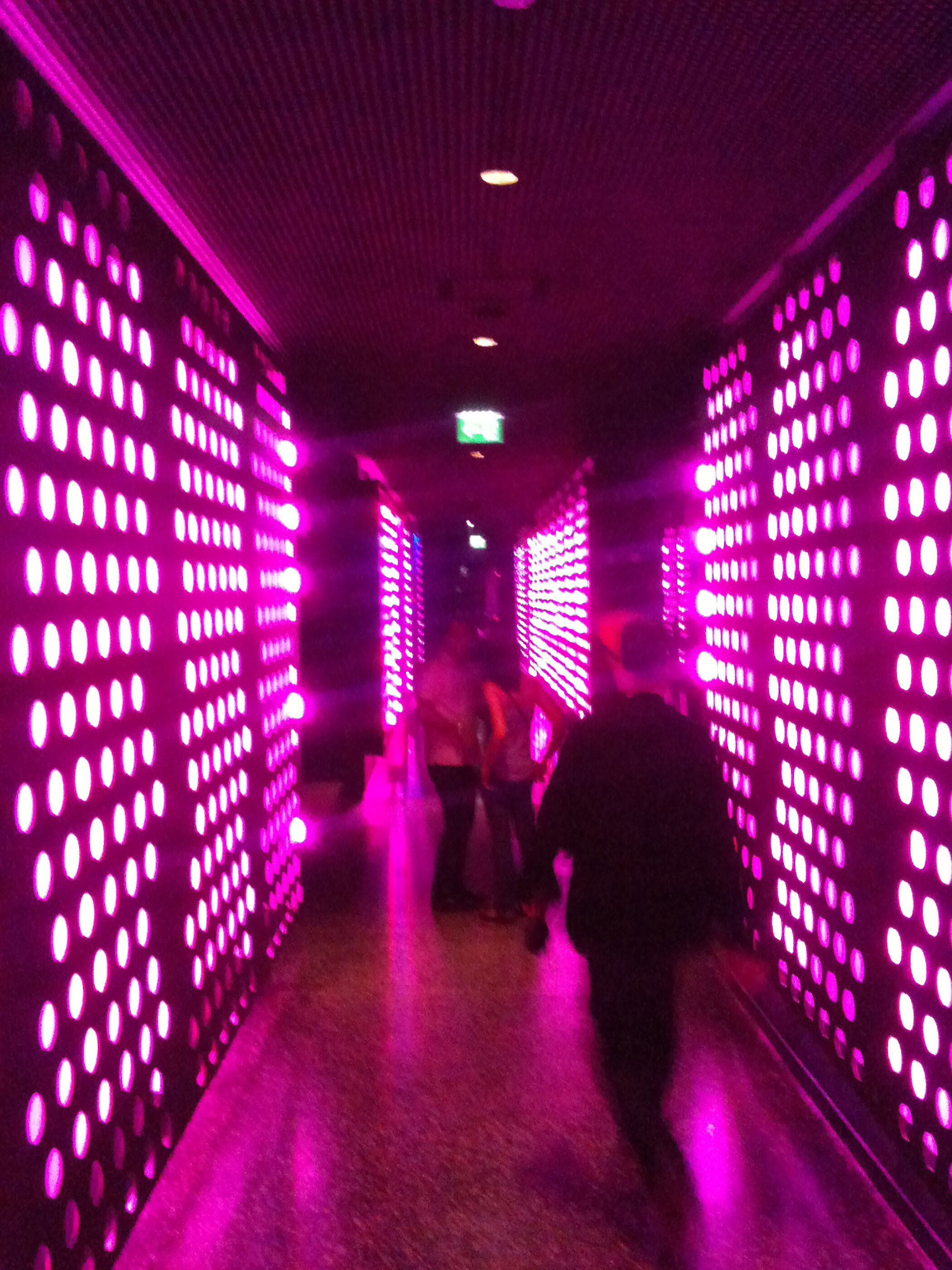 Innenansicht/ Volksgarten/ Wien